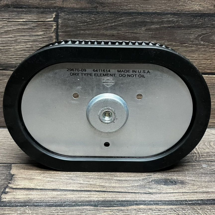 Воздушный фильтр 09+ CVO OEM